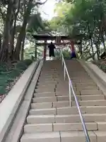 氷川女體神社の鳥居