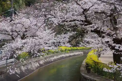 毘沙門堂門跡(京都府)