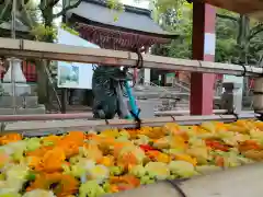 津島神社の手水