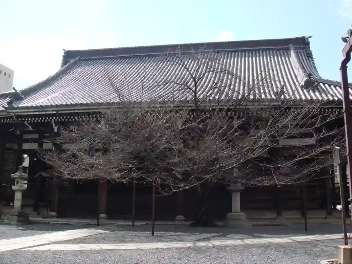 本法寺の本殿・本堂