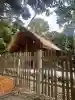 伊勢山皇大神宮の{uncategorized: "未分類", other: "その他", undefined: "問題あり", building: "その他建物", grave: "お墓", sacred_gate: "鳥居", guardian: "狛犬", statue: "像", buddha: "仏像", history: "歴史", nature: "自然", garden: "庭園", animal: "動物", pagoda: "塔", temizu: "手水舎", mountain_gate: "山門・神門", sanctuary: "本殿・本堂", subordinate: "末社・摂社", art: "芸術", scenery: "景色", jizo: "地蔵", ema: "絵馬", goshuin: "御朱印", omikuji: "おみくじ", items: "授与品その他", amulet: "お守り", goshuincho: "御朱印帳", eats: "食事", festival: "お祭り", votive_dance: "神楽", shichigosan: "七五三参", wedding: "結婚式", experience: "体験その他", initially: "初詣", around: "周辺", anti_infection: "感染症対策"}