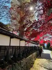 長圓寺の建物その他