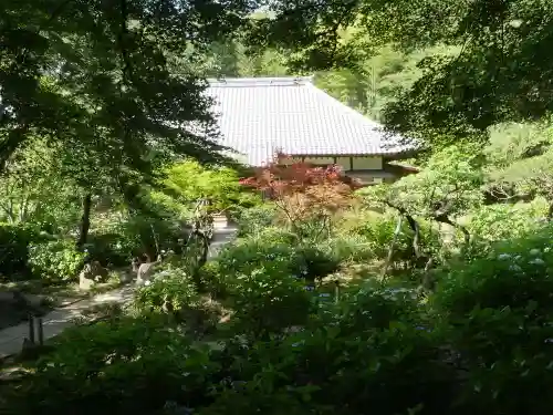 浄慶寺の本殿・本堂