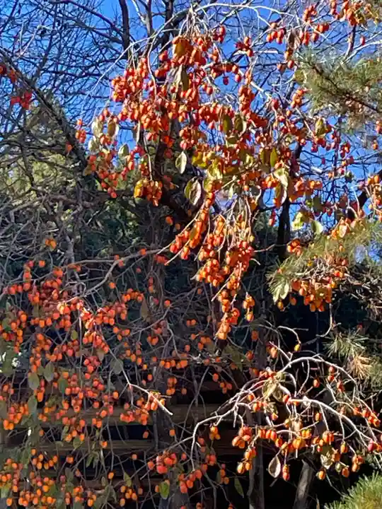 正寿院(京都府)