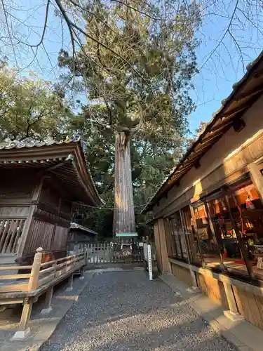 事任八幡宮(静岡県)