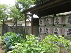 白山神社(東京都)