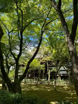 真正極楽寺(真如堂)(京都府)
