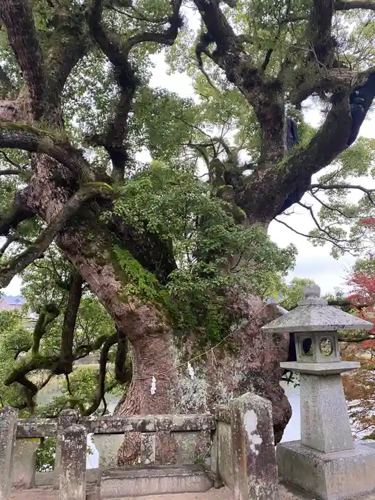 與止日女神社の自然