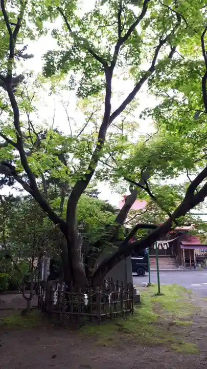 沖館稲荷神社(青森県)