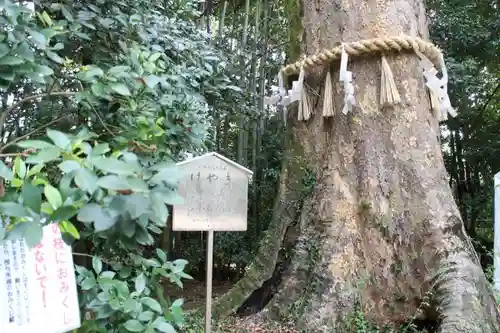 宇治上神社の景色