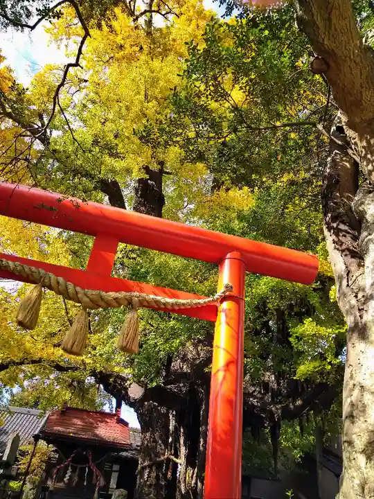 宮城野八幡神社の鳥居