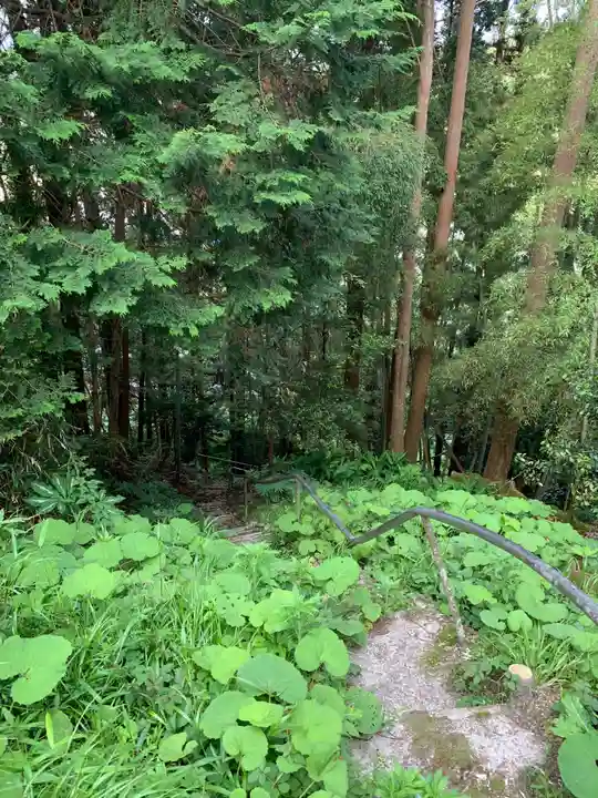 熊野権現の自然