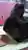 黒うささんのプロフィール画像
