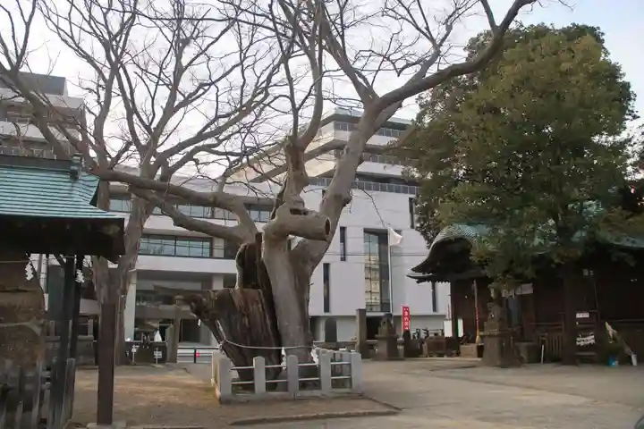 阿邪訶根神社の景色