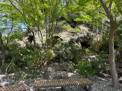 善福寺の{uncategorized: "未分類", other: "その他", undefined: "問題あり", building: "その他建物", grave: "お墓", sacred_gate: "鳥居", guardian: "狛犬", statue: "像", buddha: "仏像", history: "歴史", nature: "自然", garden: "庭園", animal: "動物", pagoda: "塔", temizu: "手水舎", mountain_gate: "山門・神門", sanctuary: "本殿・本堂", subordinate: "末社・摂社", art: "芸術", scenery: "景色", jizo: "地蔵", ema: "絵馬", goshuin: "御朱印", omikuji: "おみくじ", items: "授与品その他", amulet: "お守り", goshuincho: "御朱印帳", eats: "食事", festival: "お祭り", votive_dance: "神楽", shichigosan: "七五三参", wedding: "結婚式", experience: "体験その他", initially: "初詣", around: "周辺", anti_infection: "感染症対策"}