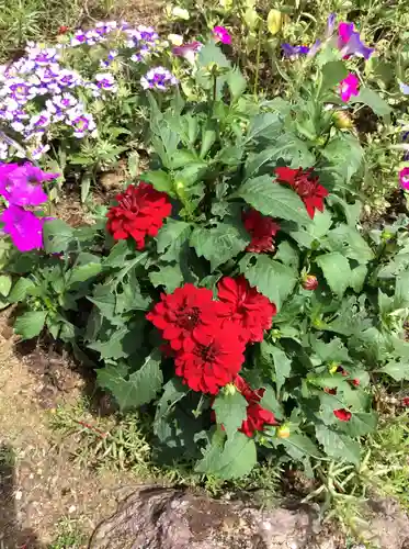 大鏑神社の自然