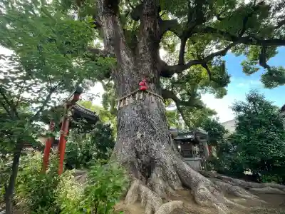 法楽寺(大阪府)