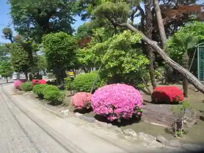 徳蔵寺(群馬県)