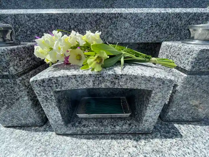 鏡石鹿嶋神社 *安産・開運・勝利の神さま*の{uncategorized: "未分類", other: "その他", undefined: "問題あり", building: "その他建物", grave: "お墓", sacred_gate: "鳥居", guardian: "狛犬", statue: "像", buddha: "仏像", history: "歴史", nature: "自然", garden: "庭園", animal: "動物", pagoda: "塔", temizu: "手水舎", mountain_gate: "山門・神門", sanctuary: "本殿・本堂", subordinate: "末社・摂社", art: "芸術", scenery: "景色", jizo: "地蔵", ema: "絵馬", goshuin: "御朱印", omikuji: "おみくじ", items: "授与品その他", amulet: "お守り", goshuincho: "御朱印帳", eats: "食事", festival: "お祭り", votive_dance: "神楽", shichigosan: "七五三参", wedding: "結婚式", experience: "体験その他", initially: "初詣", around: "周辺", anti_infection: "感染症対策"}