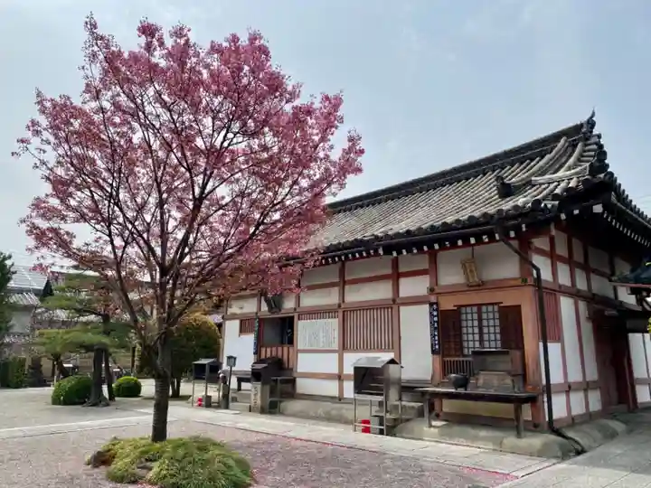 東寺(教王護国寺)(京都府)