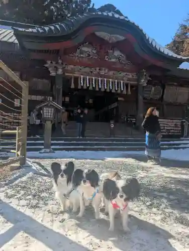 北口本宮冨士浅間神社の{uncategorized: "未分類", other: "その他", undefined: "問題あり", building: "その他建物", grave: "お墓", sacred_gate: "鳥居", guardian: "狛犬", statue: "像", buddha: "仏像", history: "歴史", nature: "自然", garden: "庭園", animal: "動物", pagoda: "塔", temizu: "手水舎", mountain_gate: "山門・神門", sanctuary: "本殿・本堂", subordinate: "末社・摂社", art: "芸術", scenery: "景色", jizo: "地蔵", ema: "絵馬", goshuin: "御朱印", omikuji: "おみくじ", items: "授与品その他", amulet: "お守り", goshuincho: "御朱印帳", eats: "食事", festival: "お祭り", votive_dance: "神楽", shichigosan: "七五三参", wedding: "結婚式", experience: "体験その他", initially: "初詣", around: "周辺", anti_infection: "感染症対策"}