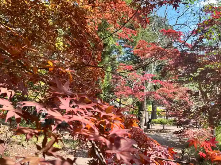 天台宗 五大山 白毫寺(兵庫県)