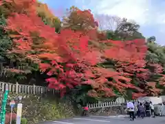 犬山寂光院(愛知県)