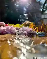 滑川神社 - 仕事と子どもの守り神の手水舎