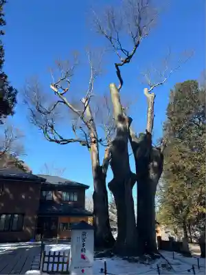 諏訪大社上社前宮(長野県)