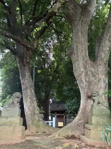 王子神社(千葉県)