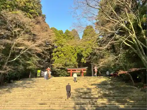 霧島神宮(鹿児島県)