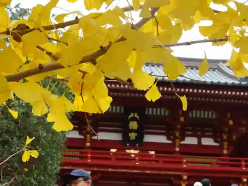 鶴岡八幡宮(神奈川県)