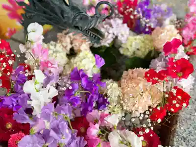 札幌諏訪神社の手水舎
