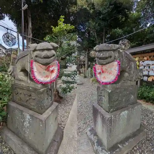 菊田神社の狛犬