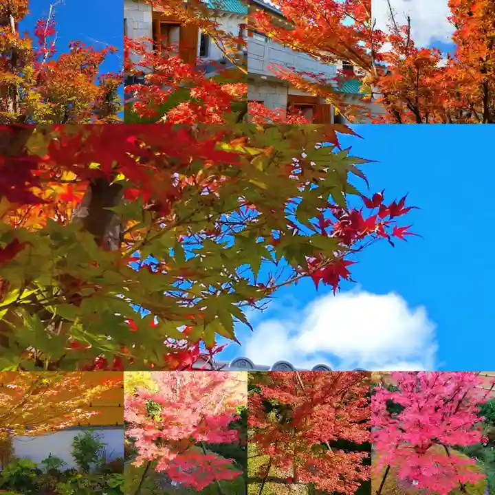 寿量山 速成寺の周辺