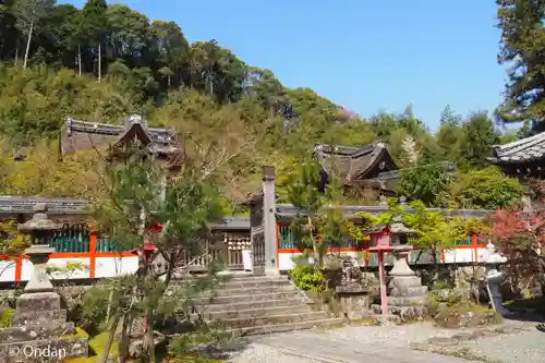 鍬山神社(京都府)