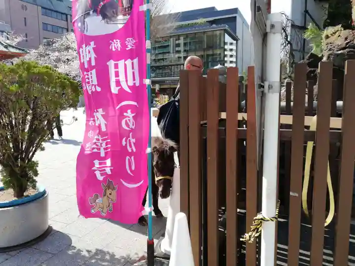 神田神社(神田明神)の動物