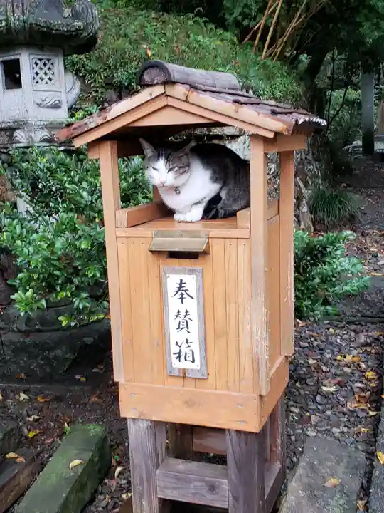 唐澤山神社の動物