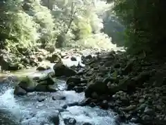 天岩戸神社の自然