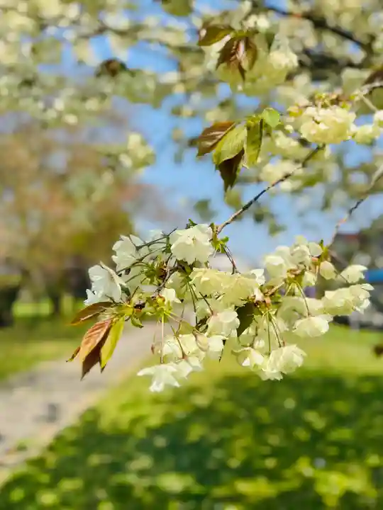 守りの神 藤基神社の自然