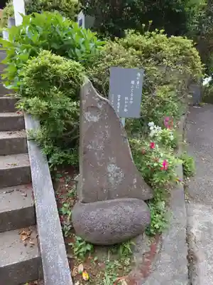 熊野神社(杉田・中原)(神奈川県)