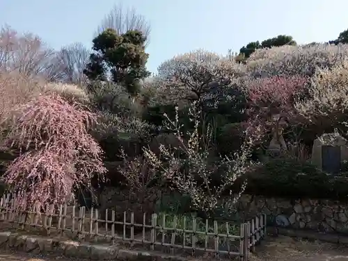中山寺(兵庫県)