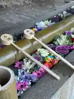 群馬県護国神社(群馬県)