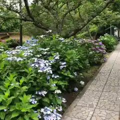 有珠善光寺(北海道)