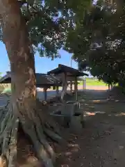 熊野神社(千葉県)