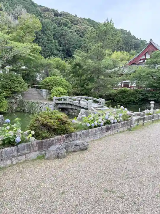 矢田寺(奈良県)