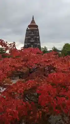 妙満寺(京都府)