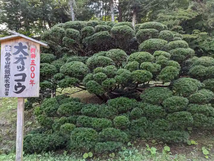 達谷窟毘沙門堂(岩手県)