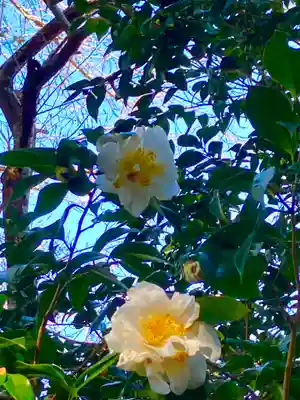 大宮大神(茨城県)