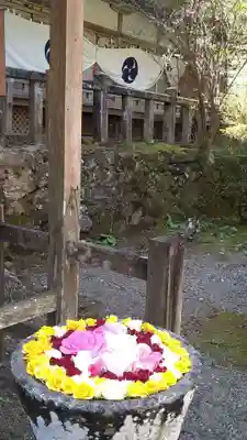 丹生都比売神社の手水舎